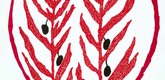 Louise Bourgeois. The Olive Branch. 2004