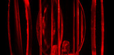 Louise Bourgeois. Untitled, no. 7 of 8, from the untitled hologram series. 1998-2014