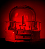 Louise Bourgeois. Untitled, no. 8 of 8, from the untitled hologram series. 1998-2014