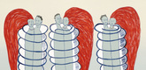 Louise Bourgeois. Couples. 2001