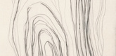 Louise Bourgeois. Untitled, plate 12 of 15, from the series, Nature Study. 2009