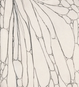 Louise Bourgeois. Untitled, plate 15 of 15, from the series, Nature Study. 2009