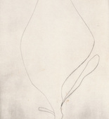 Louise Bourgeois. Untitled, plate 2 of 15, from the series, Nature Study. 2009