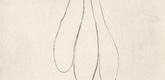 Louise Bourgeois. Untitled, plate 5 of 15, from the series, Nature Study. 2009