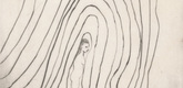 Louise Bourgeois. Untitled, plate 6 of 15, from the series, Nature Study. 2009
