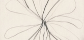 Louise Bourgeois. Untitled, plate 9 of 15, from the series, Nature Study. 2009