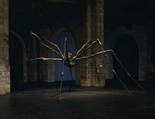 Louise Bourgeois. Spider. 1995