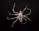 Louise Bourgeois. Spider Brooch. 2005