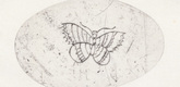 Louise Bourgeois. Baby and Butterfly. 2007
