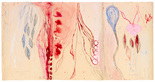 Louise Bourgeois. The Geometry of Desire (#1). 2010