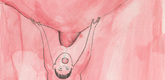 Louise Bourgeois. Jealousy Over the Breast. 2008