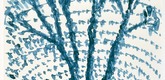 Louise Bourgeois. Untitled (Blue Tree V), in Les Arbres (1), from the editioned series of portfolios, Les Arbres (1-6). 2004