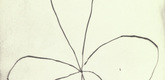 Louise Bourgeois. Untitled, plate 8 of 15, from the series, Nature Study. 2009