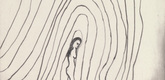 Louise Bourgeois. Untitled, plate 6 of 15, from the series, Nature Study. 2009