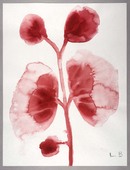 Louise Bourgeois. Les Fleurs. 2009