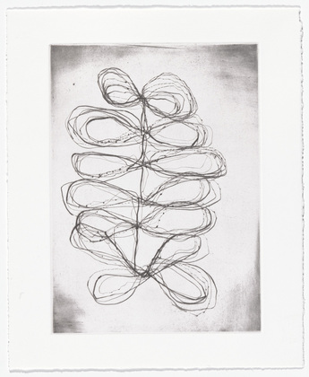 Louise Bourgeois. Untitled, plate 14 of 15, from the series, Nature Study. 2009