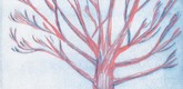 Louise Bourgeois. Untitled (Tall Tree), in Les Arbres (2), from the editioned series of portfolios, Les Arbres (1-6). 2004
