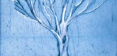 Louise Bourgeois. Untitled (Wide Tree), in Les Arbres (2), from the editioned series of portfolios, Les Arbres (1-6). 2004