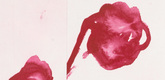 Louise Bourgeois. Les Fleurs. 2010