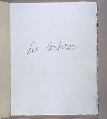 Louise Bourgeois. Les Arbres (3). 2004