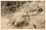 Louise Bourgeois. Untitled. 1952