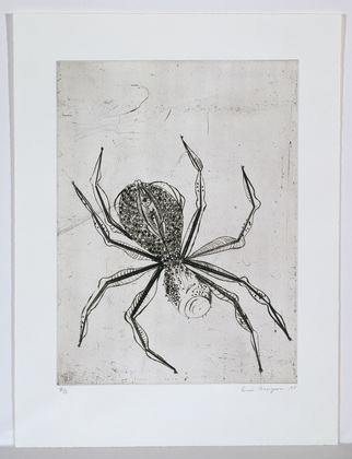 Louise Bourgeois. Spider. 1995