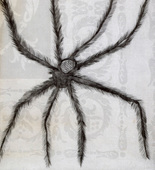 Louise Bourgeois. Hairy Spider. 2001