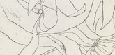 Louise Bourgeois. Les Fleurs. 2007