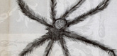 Louise Bourgeois. Hairy Spider. 2001