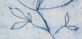 Louise Bourgeois. Untitled (Branch with Three Leaves and Two Offshoots), in Les Arbres (5), from the editioned series of portfolios, Les Arbres (1-6). 2004