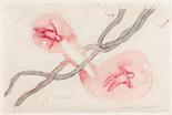 Louise Bourgeois. Untitled, no. 1 of 14, from &Agrave; l'Infini (set 1). 2008