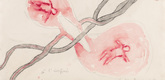 Louise Bourgeois. Untitled, no. 1 of 14, from &Agrave; l'Infini (set 1). 2008