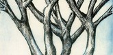 Louise Bourgeois. Untitled (Bent Tree), in Les Arbres (5), from the editioned series of portfolios, Les Arbres (1-6). 2004