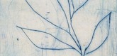 Louise Bourgeois. Untitled (Tall Branch with Five Leaves), in Les Arbres (5), from the editioned series of portfolios, Les Arbres (1-6). 2004