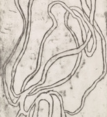 Louise Bourgeois. Losing It. 2006