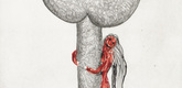 Louise Bourgeois. Embracing the Tree II. 2003