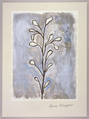Louise Bourgeois. La Petite Pousse I. 2005