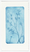 Louise Bourgeois. Untitled (Three Branches with Offshoots), in Les Arbres (6), from the editioned series of portfolios, Les Arbres (1-6). 2004