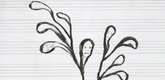 Louise Bourgeois. La Petite Pousse III. 2005