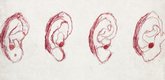 Louise Bourgeois. Ears. 2003