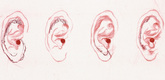Louise Bourgeois. Ears. 2003