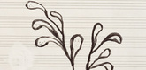 Louise Bourgeois. La Petite Pousse III. 2005