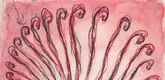 Louise Bourgeois. Untitled. 2005