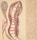 Louise Bourgeois. Untitled, no. 3 of 4, from the series, Have a Little Courage. 2009