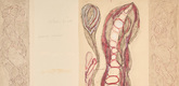 Louise Bourgeois. Untitled, no. 3 of 4, from the series, Have a Little Courage. 2009