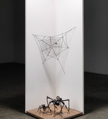 Louise Bourgeois. Spider Home. 2003