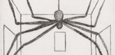 Louise Bourgeois. Spider, plate 11 of 11, from the illustrated book, He Disappeared into Complete Silence, second edition. 2001