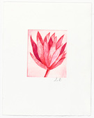 Louise Bourgeois. Untitled (Branch with Leaf Cluster), in Les Arbres (3), from the editioned series of portfolios, Les Arbres (1-6). 2004