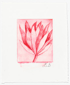 Louise Bourgeois. Untitled (Branch with Leaf Cluster), in Les Arbres (3), from the editioned series of portfolios, Les Arbres (1-6). 2004