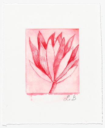 Louise Bourgeois. Untitled (Branch with Leaf Cluster), in Les Arbres (3), from the editioned series of portfolios, Les Arbres (1-6). 2004